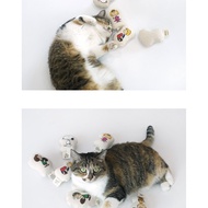 PEANUTS Catnip Toy Set for Cats – 6 Designs / 6 Pcs