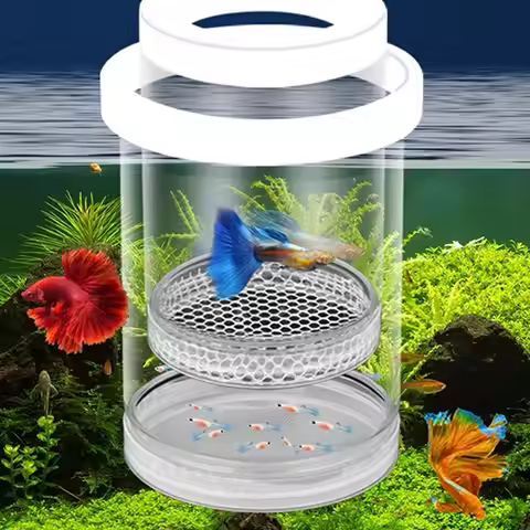 Plastic Floating Fish Breeding Isolation Box For Guppy Fish Breeding Isolation Box Aquarium Hatchery