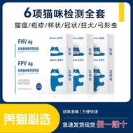 Sample Cat Plague Cat Crown Test Paper Test Salvation Package Cat Full Set Test Board Test Board Tes