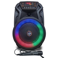 Bluetooth amplifier speaker LED speaker AO623 karaoke speaker for events with microphone