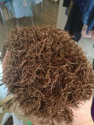 Acidic Vermiculite Soils for Roses And Rhododendrons Natural Organic Composted Leaf Matter Pine Need