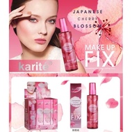 Japanese cherry Makeup fix