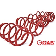 GAB Perduo Alza sport coil spring