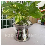 H2O - [Ceramic Pot] Silver Pot 银色花盆 16cm x 17cm @9.5cm D