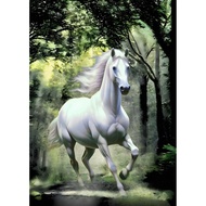 Poster Picture Horse Size A3 Thickness 200 Grams No Frame Auspicious Enhance Feng Shui Decorate Your