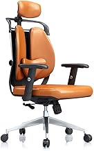 Ergonomic Computer Chair Home Office Chair Boss Chair Student Chair Gaming Chair Reclining Waist Double Back Chair (Color : Fabric Blue) interesting