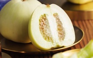 【台東卑南 MOA有機美濃瓜4.5斤】露天套網栽種 品嚐順應天成的香瓜風味
