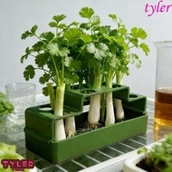 TYLER Sprout Planting Pot, Celery Lettuce Chives Seedling Tray, Multifunctional Coriander Plastic Ve