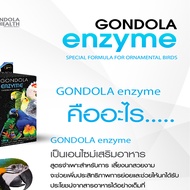 Gondolahealth enzyme 25กรัม กอนโดล่า เอนไซม์ สำหรับนกแก้ว เอนไซม์ช่วยย่อย