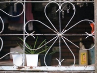 Window 電腦/平板/手機 數位桌布 彩色黑白雙版本 底片攝影