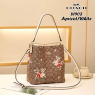 (premium Quality)Coach_Bucket Bag