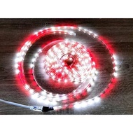 Led Strip Led Selang Merah Putih Outdoor SMD Led Hias Agustusan RGB / MERAH PUTIH