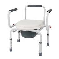 AL BAEK Commode chair/Commode toilet chair