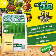 ปุ๋ย 12-61-0 NH4H2PO4 Monoammonium Phosphate MAP ปุ๋ยเกล็ด Haifa MAP (NPK 12-61-0) บรรจุ 1 กิโลกรัม