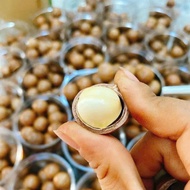 Lai Chau dried whole macadamia nuts type 1 to make nut milk from macadamia nuts, macadamia nuts, org