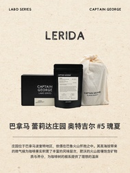 Panama Geisha Hand Pour Coffee Beans