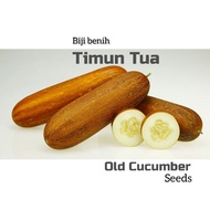 10pcs Biji Benih Timun Tua / Old cucumber Seeds