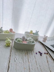 【擺飾擴香小物】仙人掌多肉植物盆栽+小兔子 / 附水晶