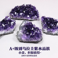 [Ready Stock] Pure Natural Amethyst Cluster Rough Stone  🪄Uruguay Geode Degaussing Raw Ore Leather Specimen Ornaments🪄Gift Desk Crystal Decoration Ornaments🪄