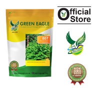 GE 807 Green Ceylon Spinach seeds [500g]