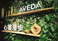 ไทเป & ไทจง: AVEDA Heart Road - สปา นวดอโรมา & ดูแลหนังศีรษะ (ต้องโทรจอง)