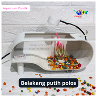 Aquarium kura kura/ aquarium minimalis full set rumah kura kura lengkap dengan lampu batu dan akseso