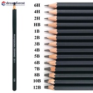DREAMFOREST 14pcs/set Professional Sketch Drawing Pencil Set HB 2B 6H 4H 2H 3B 4B 5B 6B 10B 12B 1B P