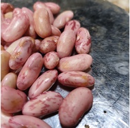 Kacang Merah Segar