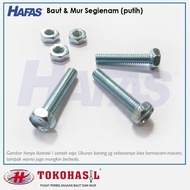 Bolts & Nuts (White) M8 X 20 - P1.25 | B/N Mili - 1 Pack (100 Pcs) Best Quality Lowest Price