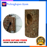 Kandang Murai Kandang Ternak Burung Murai Batu Poligami Glodok Ternak Burung Murai Minimalis