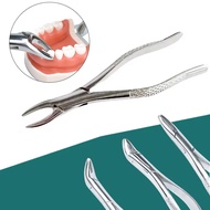 Adult Tooth Extracting Forceps Surgical Extraction Forceps Stainless Steel Pliers Dental Instrument
