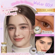 คอนแทคเลนส์ Hydrogel 💛 All me 💛 ค่าอมน้ำ60%💦(ขนาดโตกลาง) We wink เกรดพรีเมียม Made in Korea 🇰🇷 allme