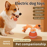 Interactive Dog Toys Ball Suction Cup Ropes Motion Activated Rolling Squeaky Ball For O8a7