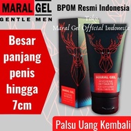 MARAL GEL Original Penambah Ukuran Pria Besar Panjang dan Permanen