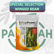NEW HOT ITEM 🔥 200gram WB48 CROP POWER WINGED BEAN SEED / Benih kacang botol