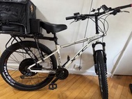 E Bike  (XTC GIANT) frame