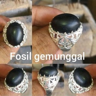 cincin fosil gemunggal/kelor
