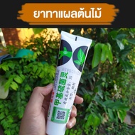 Tree Wound Ointment Helps The Heal Wounds Faster. Linshan Purple Charoen Preuna Maple Checker Black 