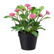 🌷 IKEA FEJKA Artificial Flowers (Bunga Tiruan) - DAISY PINK