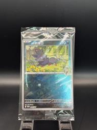 PTCG 寶可夢集換式卡牌 N的索羅亞 SV-P 206 