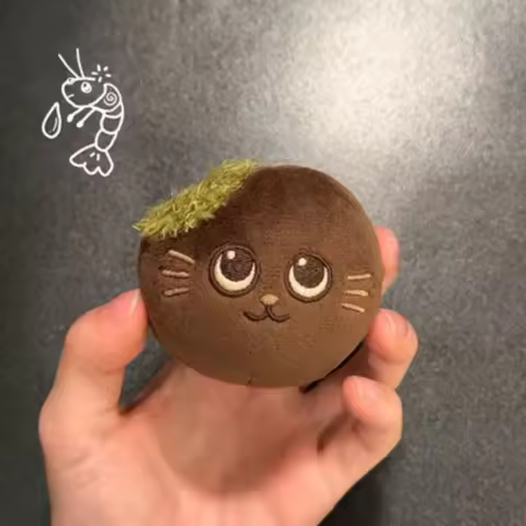 Kawaii Brown Cat RIIZE WONBIN Plush Keychain Soft Round Ball Bag Pendant Cute Mini Stuffed Animal Ke