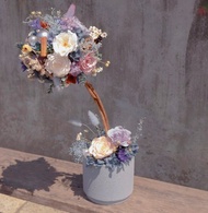 歪歪藍調Twisty Blue 永生花球樹永生花禮生日母親節喬遷升職