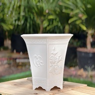 Combo of 10 durable and beautiful LG2 (37x40cm)/ LG3 (28x30cm) white hexagonal pots
