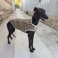 Gli Dog Padded Clothes Ebita Dog Vest Fleece Thickened Warm Fine Dog Clothes Lingti Dog Dog Sportswe