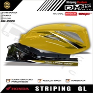 GL STRIPING HOLOGRAM VARIATION CODE SGL-042