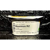 ☍✕►Lettuce Maximus RZ Pelleted Seeds by Rijk Zwaan  | Repacked 100pcs | Original Package 1000pcs