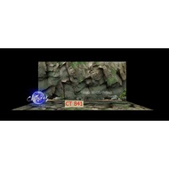 3d painting. stickers for aquariums, arowana fish tanks (back painting)