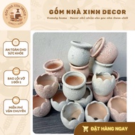 COMBO Atlantis sponge enamel pot - mini plant growing pot (M7cm-H7cm)