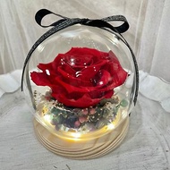 | 小夢境花藝 | 厄瓜多XL 永生紅玫瑰 LED燈環底座玻璃球