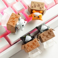 Super beautiful led cat Keycap, cute cat keyboard button for mechanical keyboard